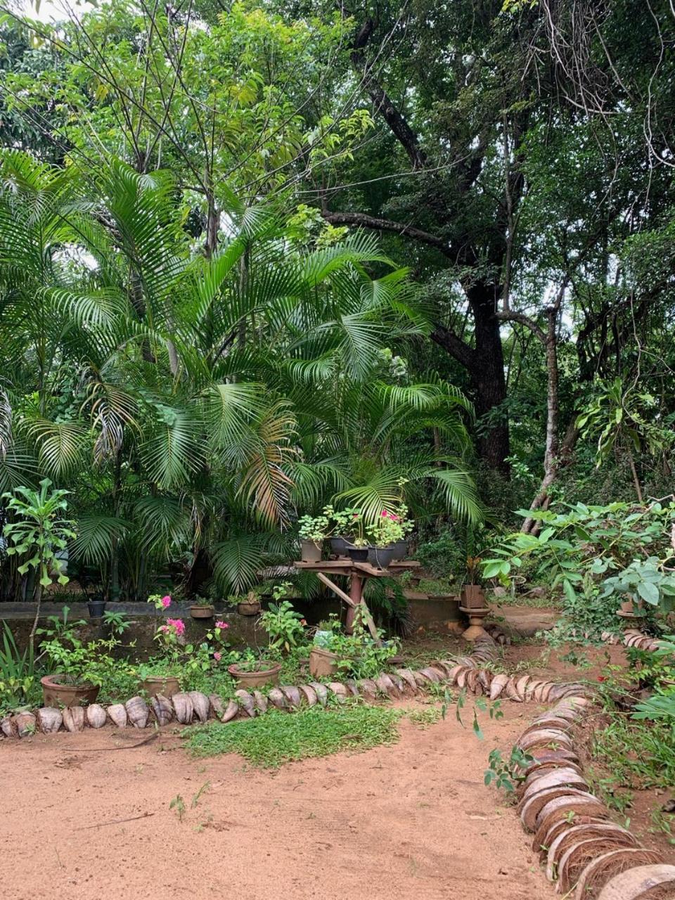 Manju Homestay Sigiriya Dış mekan fotoğraf