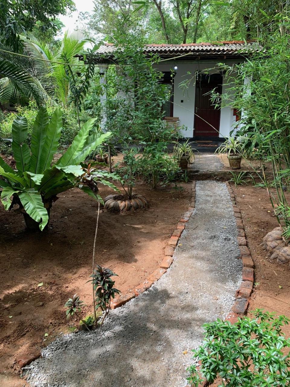 Manju Homestay Sigiriya Dış mekan fotoğraf