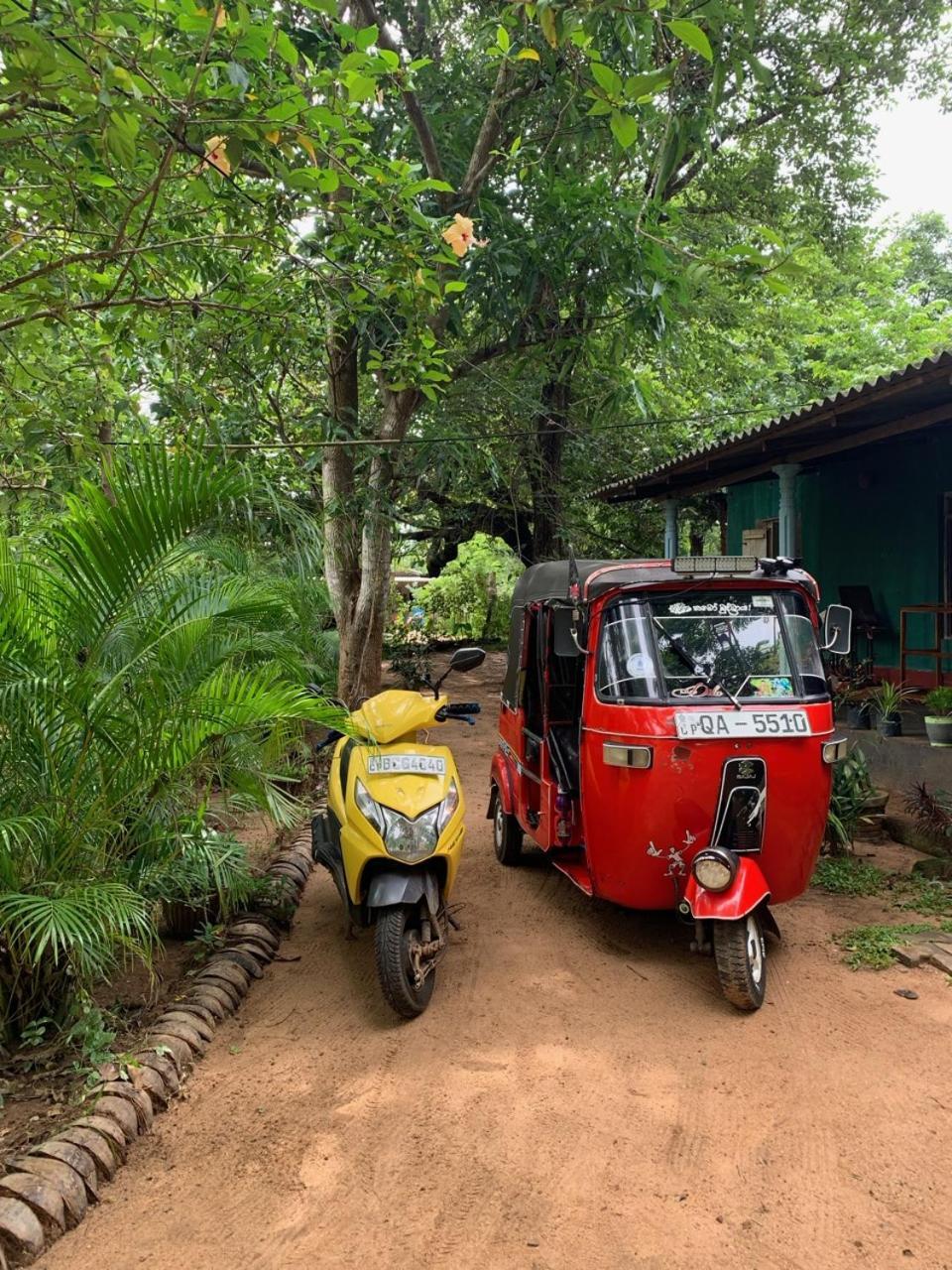 Manju Homestay Sigiriya Dış mekan fotoğraf
