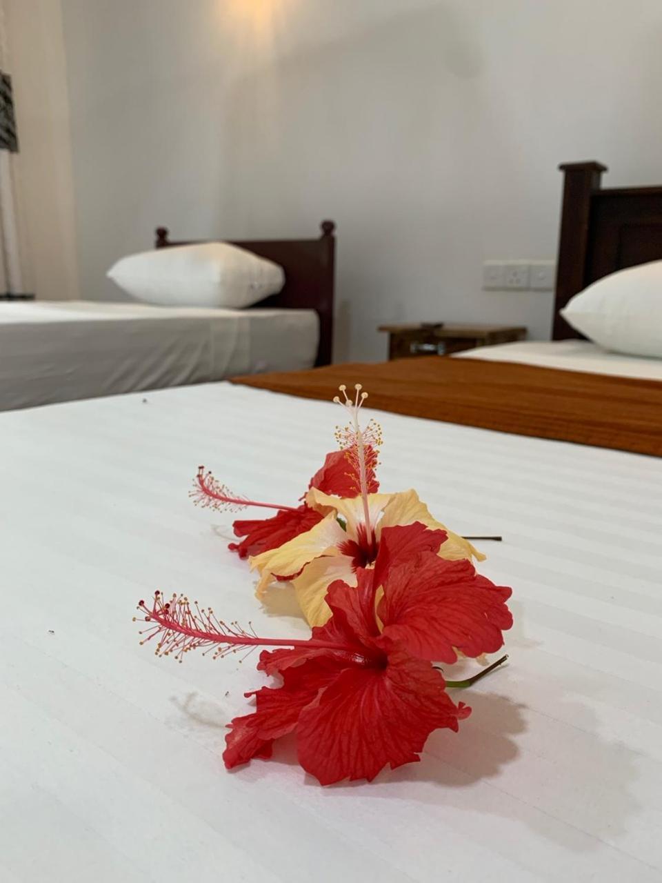 Manju Homestay Sigiriya Dış mekan fotoğraf