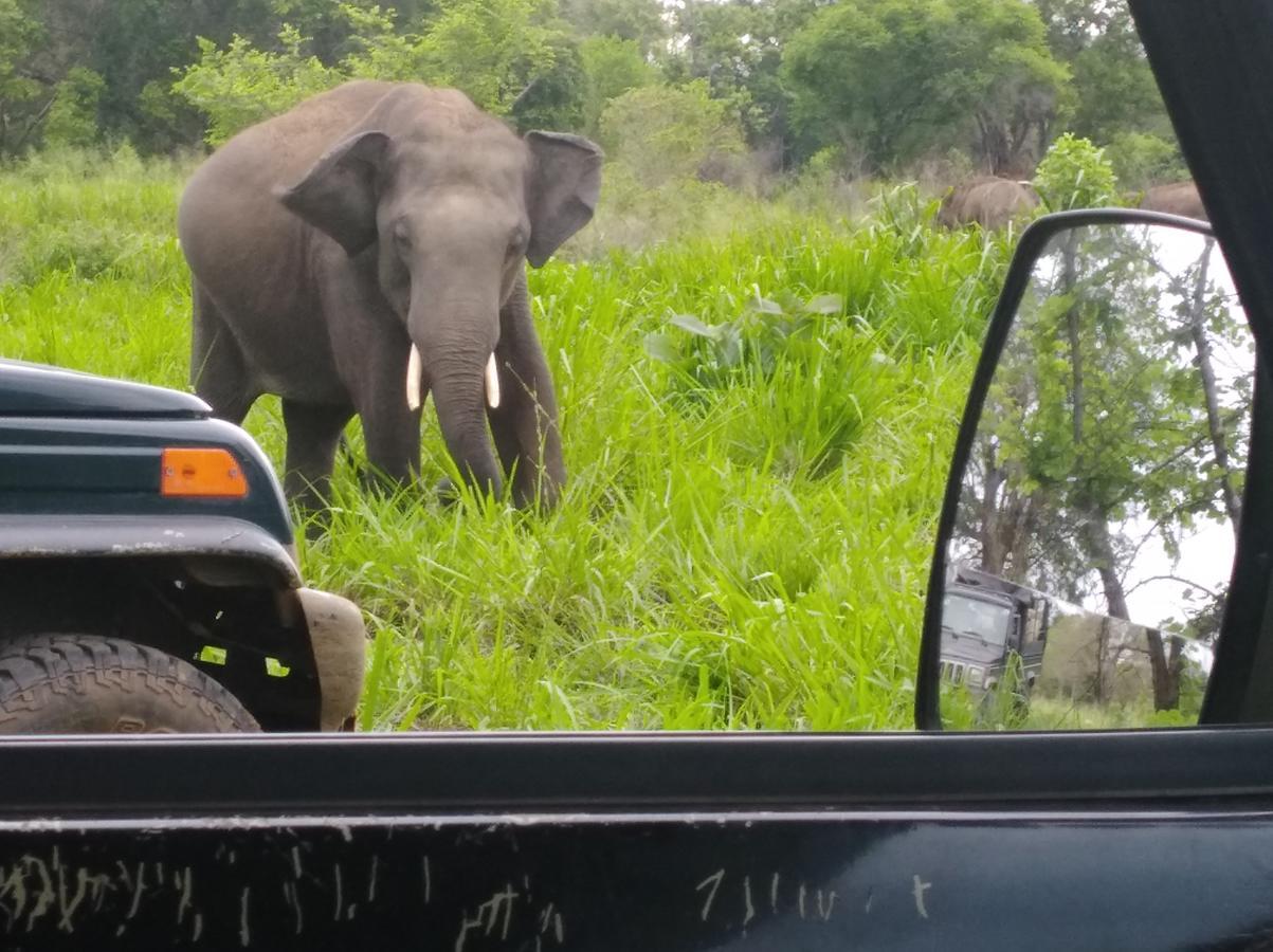 Manju Homestay Sigiriya Dış mekan fotoğraf