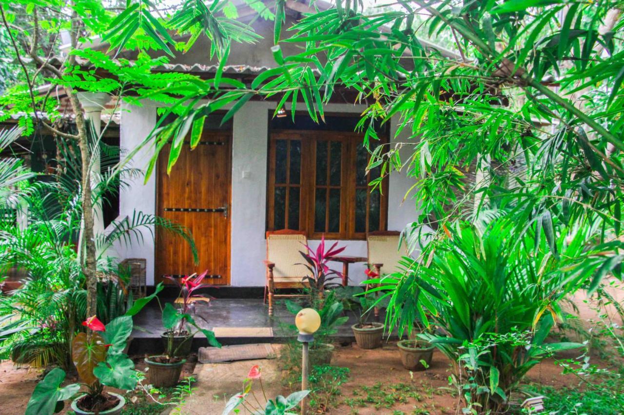Manju Homestay Sigiriya Dış mekan fotoğraf