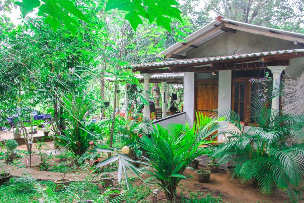 Manju Homestay Sigiriya Dış mekan fotoğraf