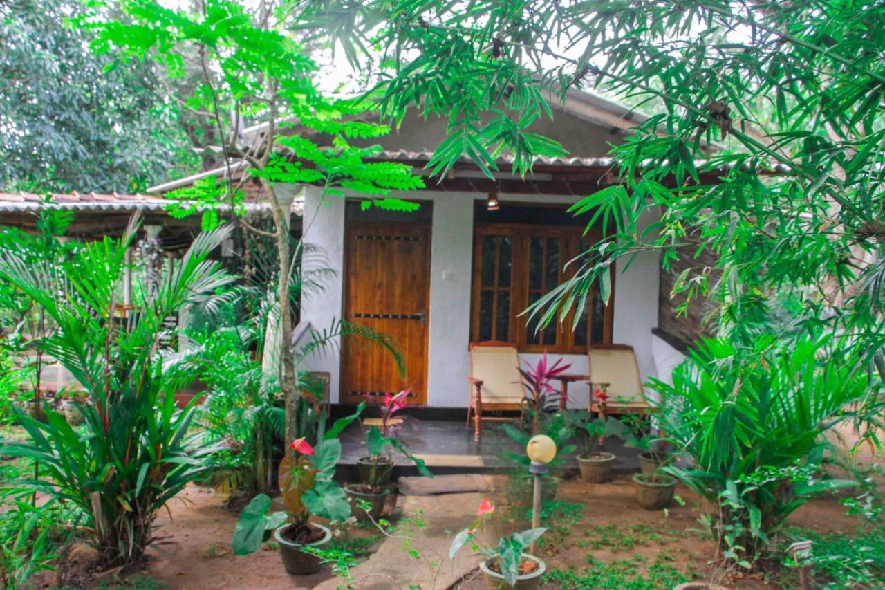 Manju Homestay Sigiriya Dış mekan fotoğraf